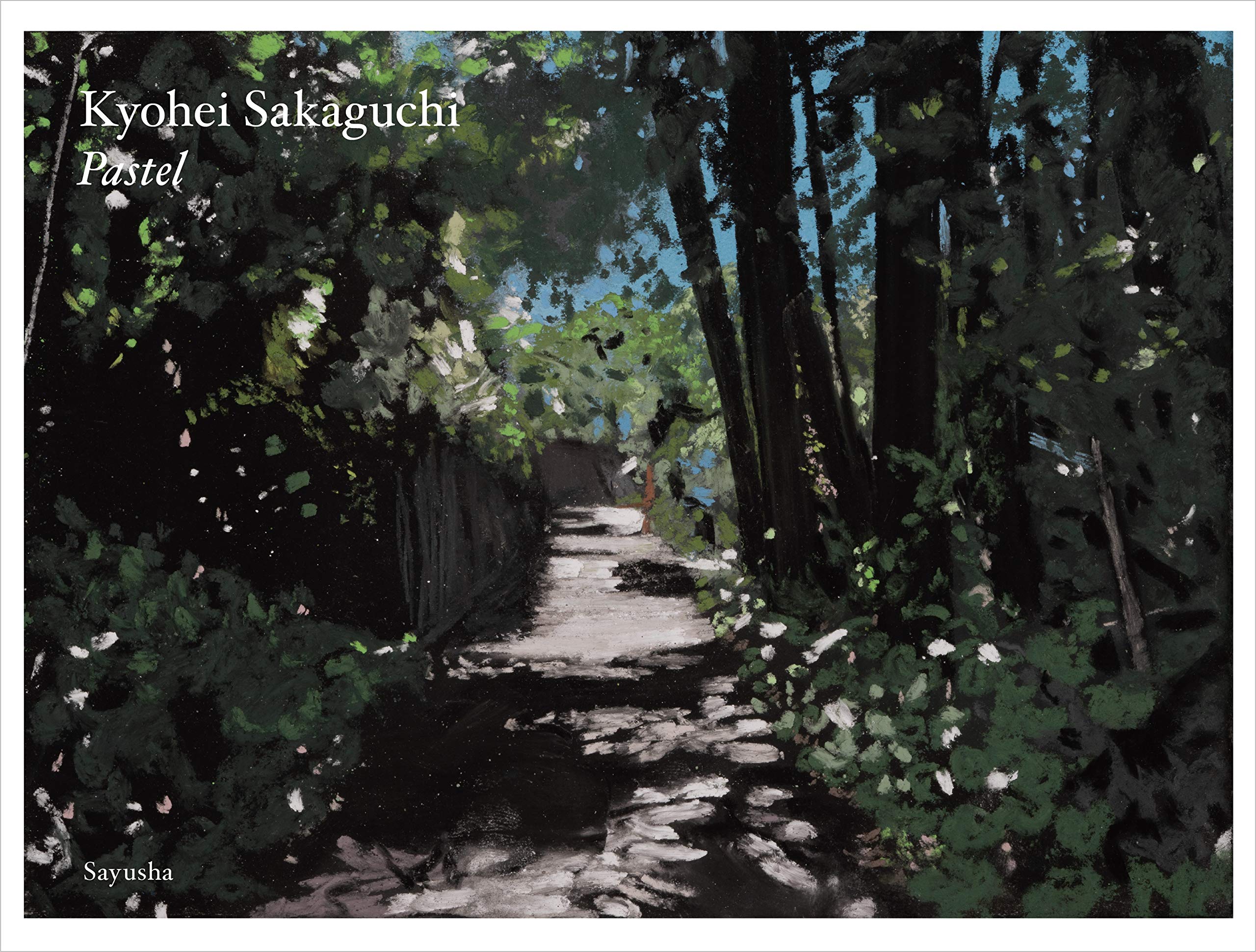 Pastel | 坂口恭平, サム・マリッサ |本 | 通販 | Amazon