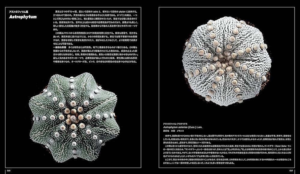 Amazon.co.jp: サボテン全書 All about CACTUS : パワポン・スパナン
