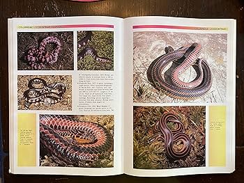 The Atlas of Snakes of the World: Coborn, John: 9780866227490