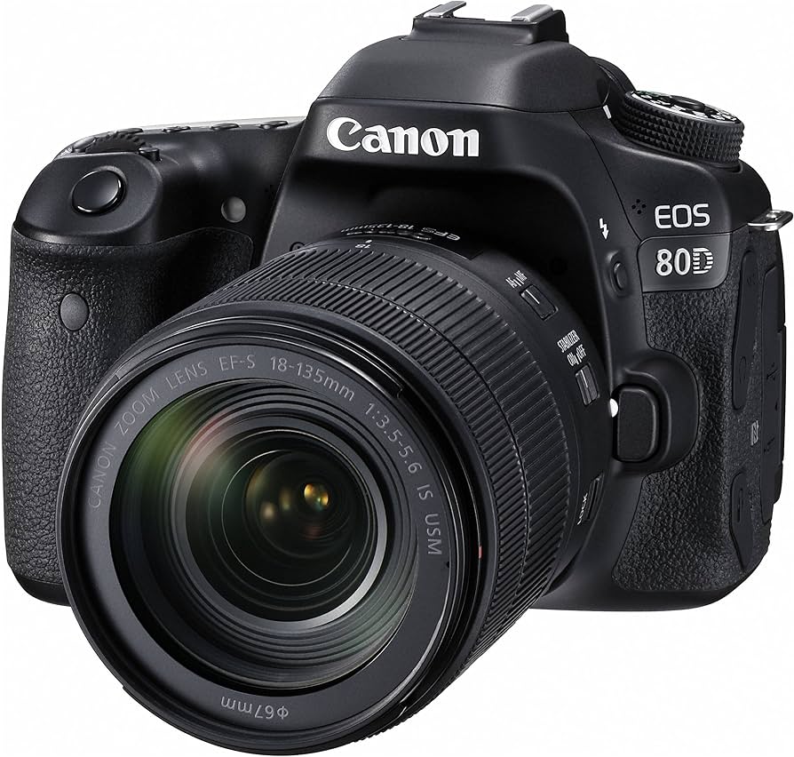 Amazon.com : Canon Digital SLR Camera Body [EOS 80D] and EF-S 18