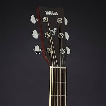 Amazon.co.jp: ヤマハ YAMAHA アコースティックギター FS SERIES