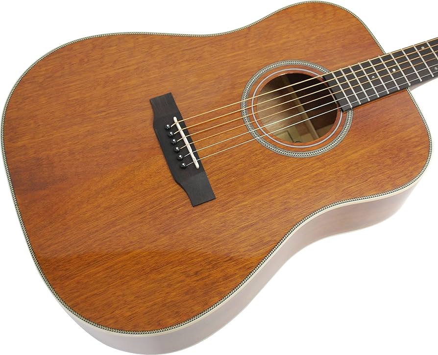 Amazon | S.Yairi ヤイリ アコースティックギター ドレッドノート