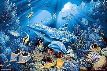 A1vEwHbt3gL._AC_UF350,