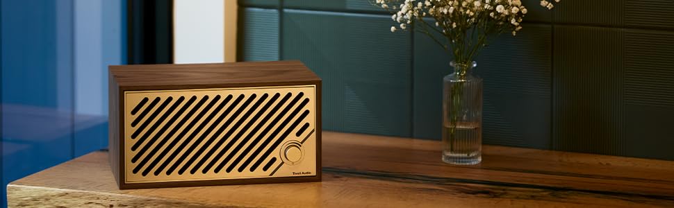 Amazon.com: Tivoli Audio Model Two Digital : Electronics