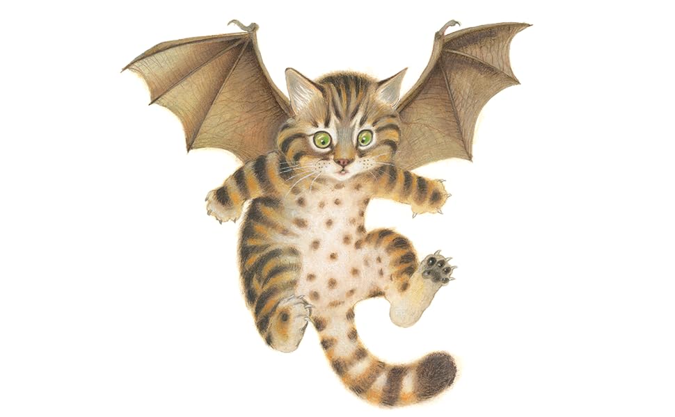 Bat Wings! Cat Wings?: Gehl, Laura, Felix, Monique: 9781568463742