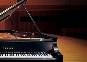 Amazon.co.jp: YAMAHA ヤマハ Pシリーズ 電子ピアノ ブラック P-115B