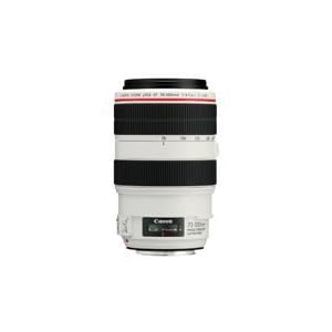 Canon EF 70-300mm f/4-5.6L is USM Zoom Lens for Canon Digital SLR