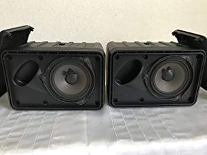 Amazon.co.jp: Bose 111AD スピーカーシステム ブラック : 家電＆カメラ