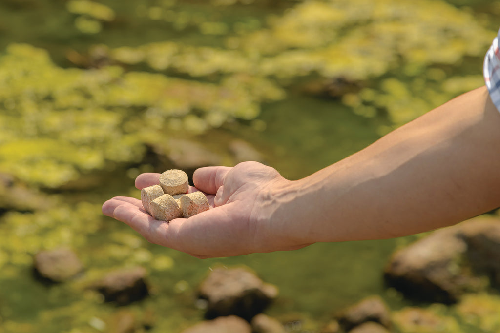 Kasco: Macro-Zyme Beneficial Bacteria | MZMB5, MZMP7, MZ8