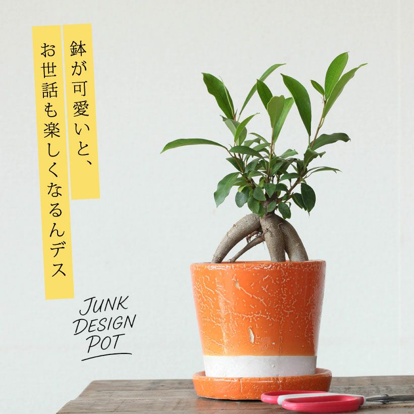 入れ子の色絵の鉢 入れ子の色絵の鉢