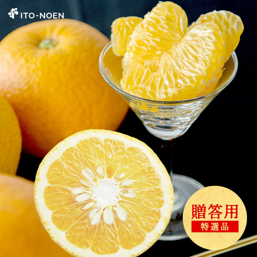 春季限定】八朔(はっさく)【贈答用(特選品)】[5・10kg] | 有田みかん