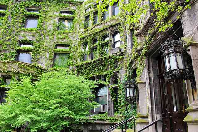 シカゴ大学 重厚なゴシックスタイル建築 キャンパスの美しいアメリカの