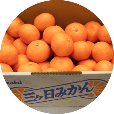 三ヶ日みかんの通販ならJAみっかび公式オンライン直売所【静岡県浜松市