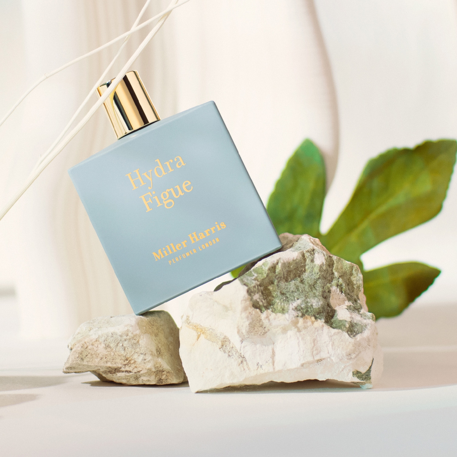 イドラ フィグ｜products｜メゾンフレグランス Miller Harris(ミラー