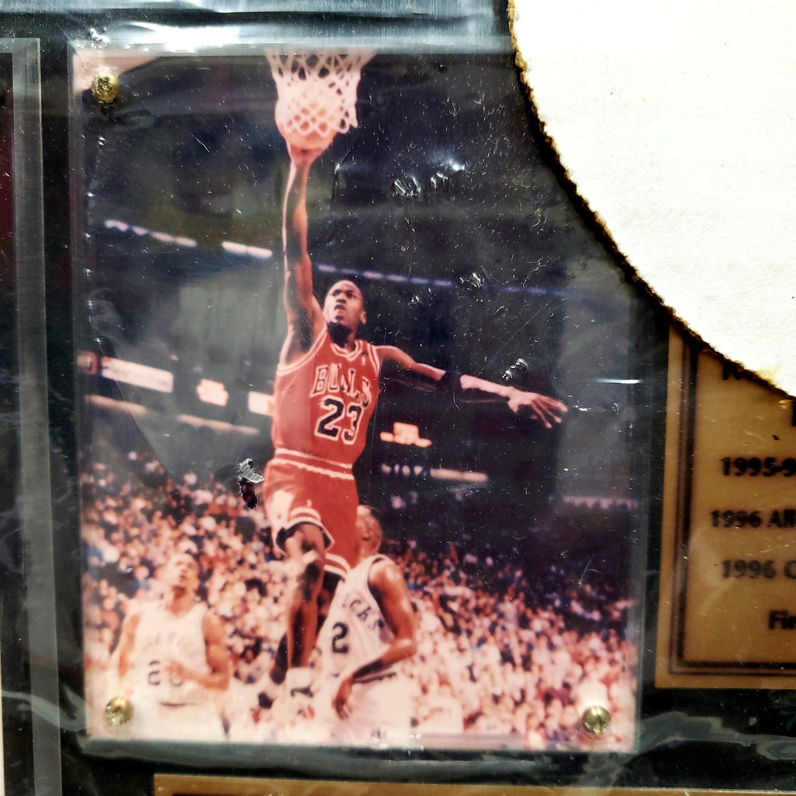 NBA CHICAGO BULLS 1995-96 WORLD CHAMPIONS | MILO STYLE