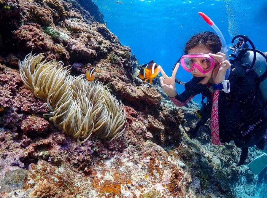 2026年最新】【初心者OK】宮古島ダイビング体験ツアーを予約・比較