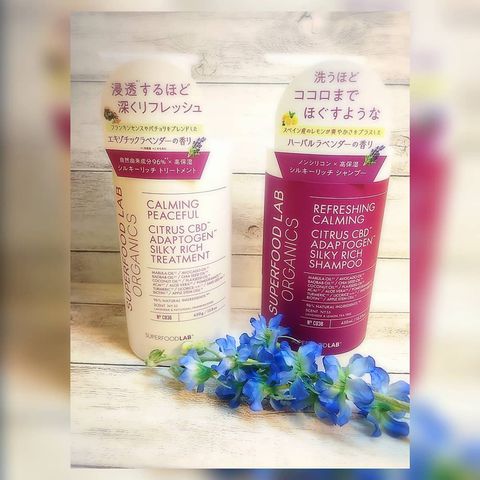 126848599_411816176896446_5413