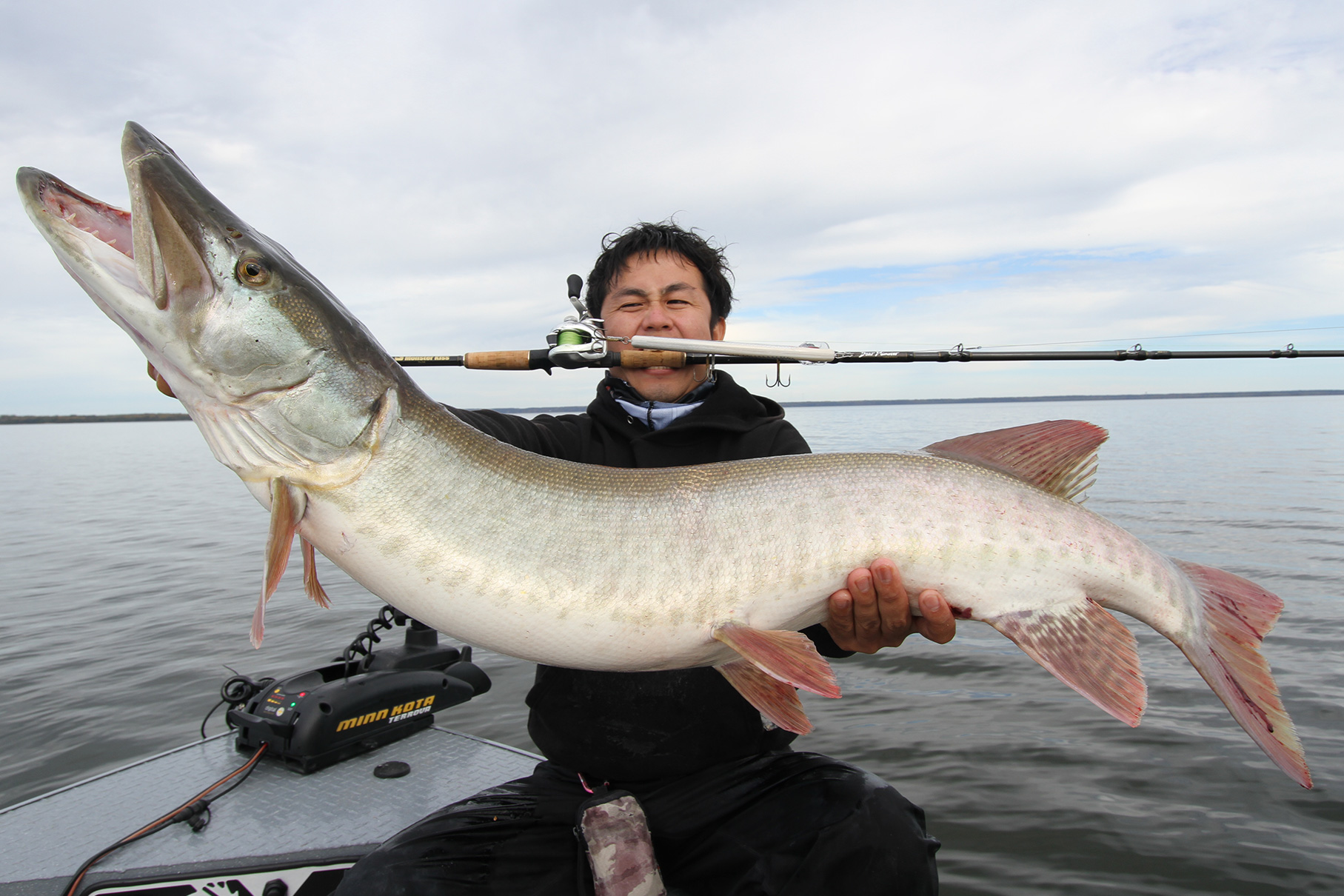 Dear Monster MX-8+ - Monster Kiss モンスターキス