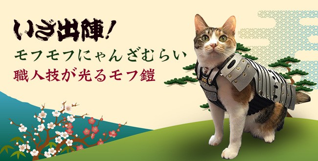 mofoo ～モフー～お洒落 猫生活マガジン～