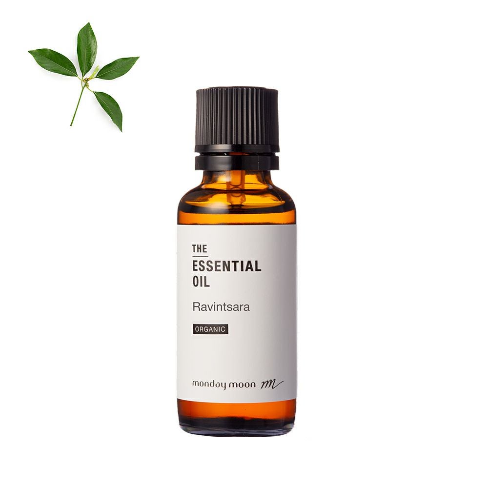 ジャスミンサンバック・アブソリュート・オーガニック／30ml（有機栽培