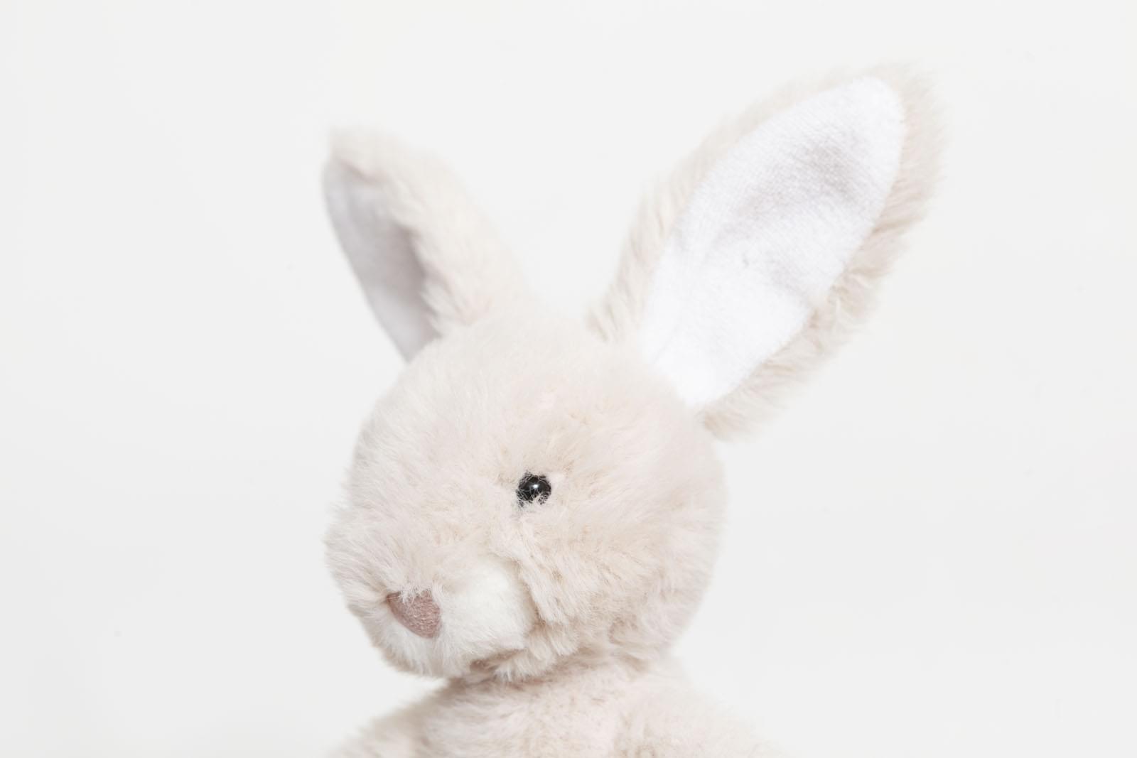 Jellycat Oatmeal Nibbles Bunny Rabbit – Ms Rudolph's