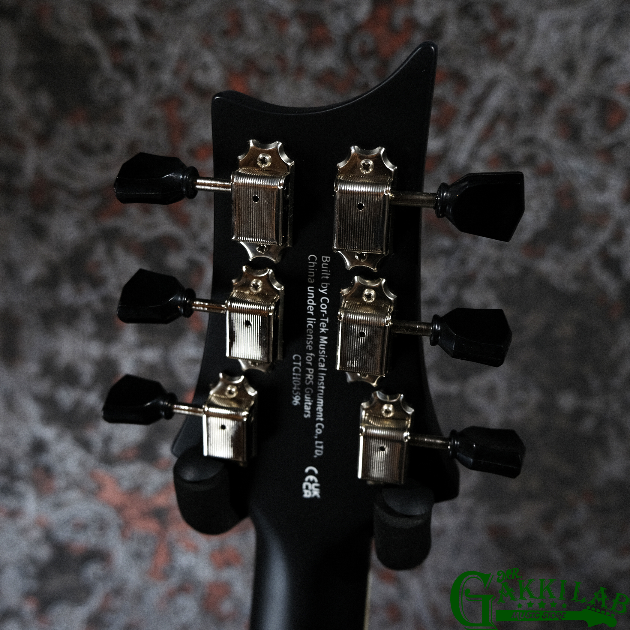 Paul Reed Smith(PRS) SE P20E Dog Hair w/ Fishman Presys VT Pickup