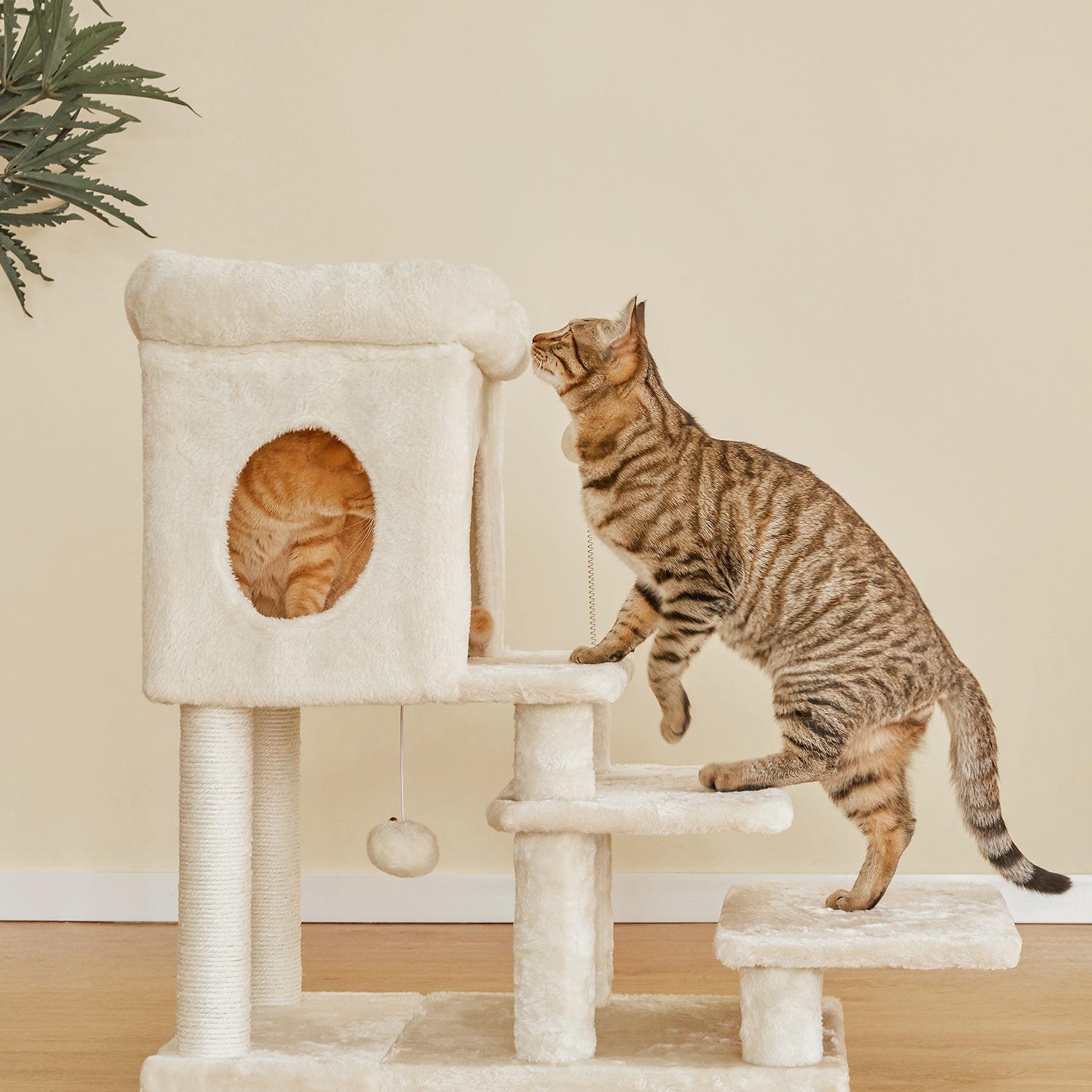 ねこマンモス様 オーダー受付 ねこマンモス様 オーダー受付 🐍イーグル