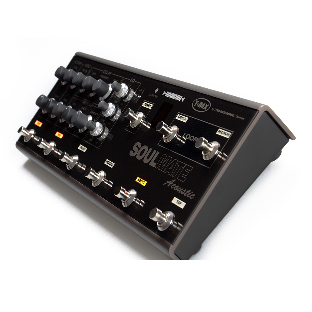 T-REX SoulMate Acoustic｜ミュージックランドKEY