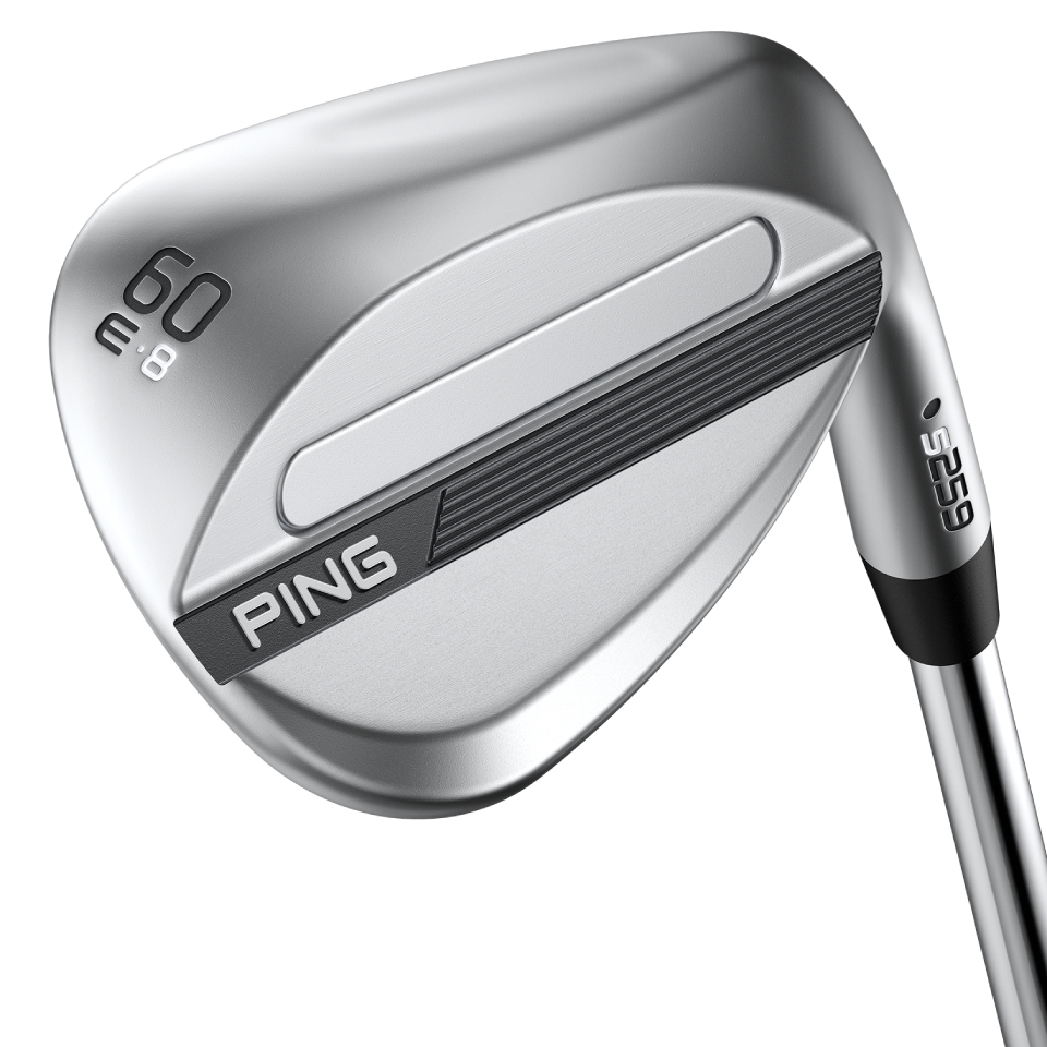 ピンゴルフ／VAULT 2.0／VAULT 2.0 DALE ANSER（ステルス仕上げ）の