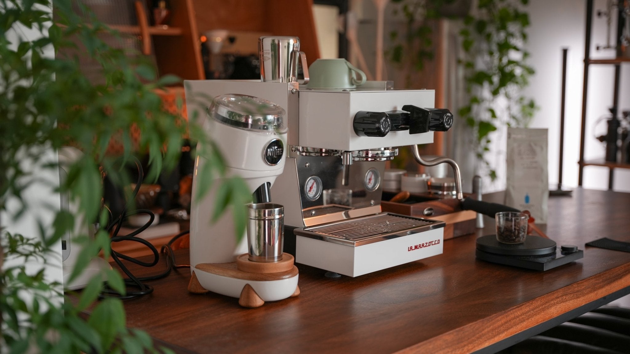 image-203310.jpg?v=1730226027&