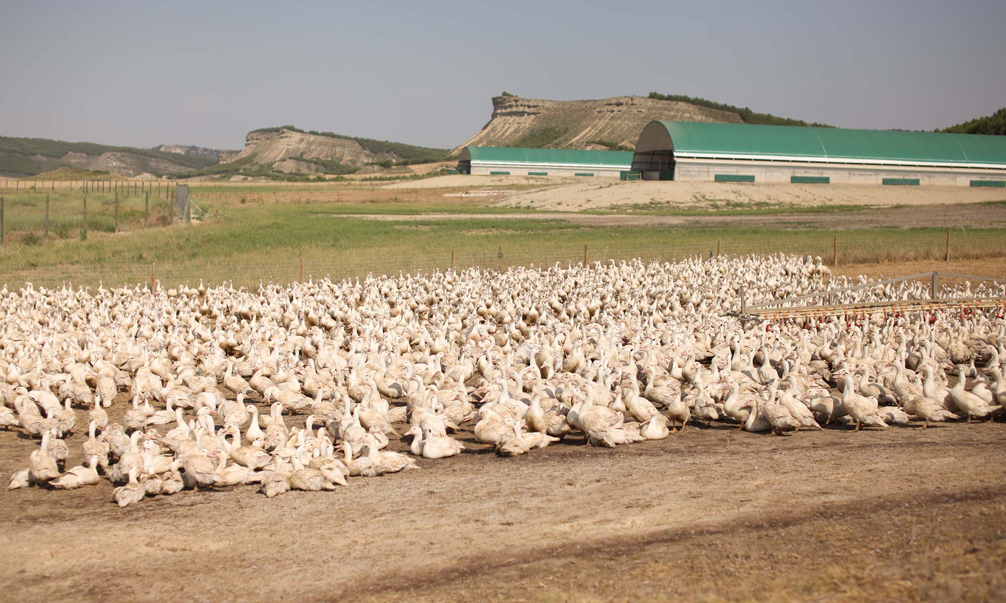 QUALITY PHILOSOPHY - NANGA | ナンガ