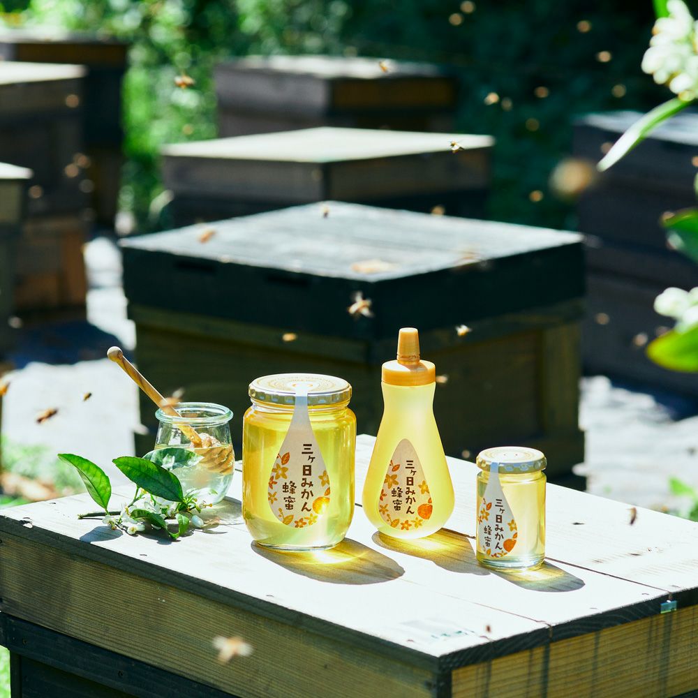 国産三ヶ日みかん蜂蜜 165gの通販｜はちみつ専門店 長坂養蜂場