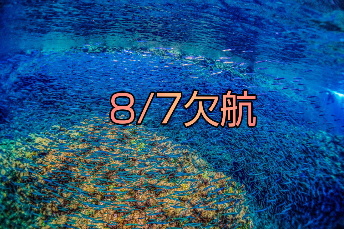 8/7 欠航 | 仲木へ行こうよ SNORKELING WORLD