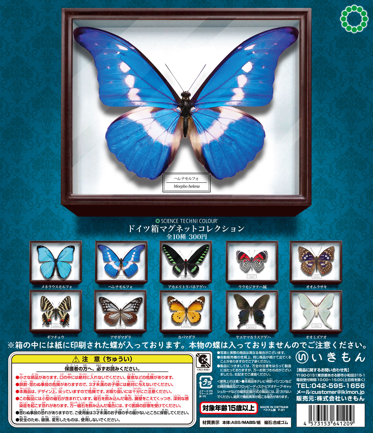 蝶標本 オオイチモンジ、クモマツマキチョウ、ミヤマシロチョウ