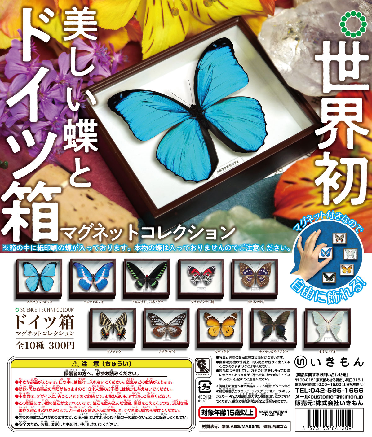 希少蝶の標本 ドイツ木製フレーム付き箱現状品のみ42x32x6cm ドイツ箱