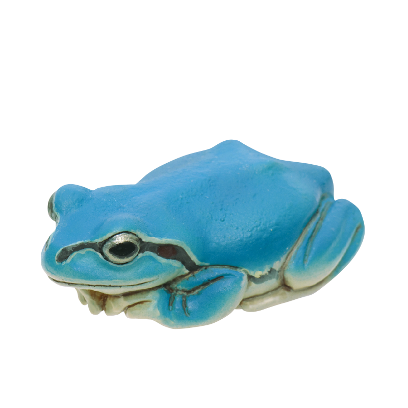 アマガエル マグネット＆ボールチェーン – ネイチャーテクニカラー公式