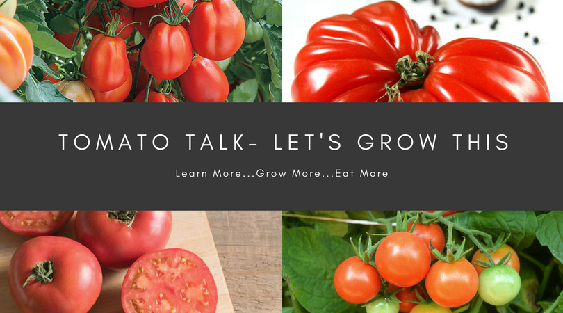 Tomato Talk - Let's Grow This! - National Garden Bureau