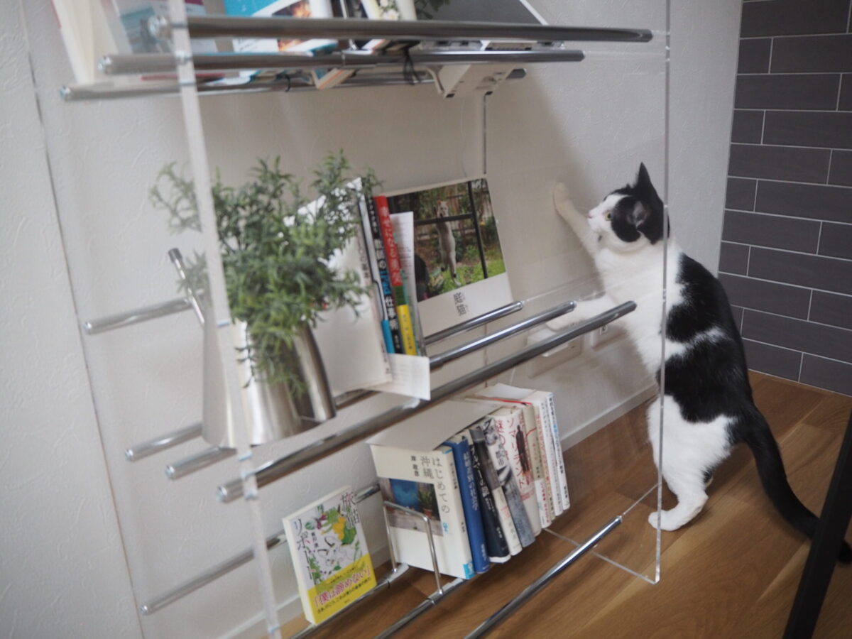 ディノスの本棚 クリアブックシェルフ】シンプルで透明なデザインが