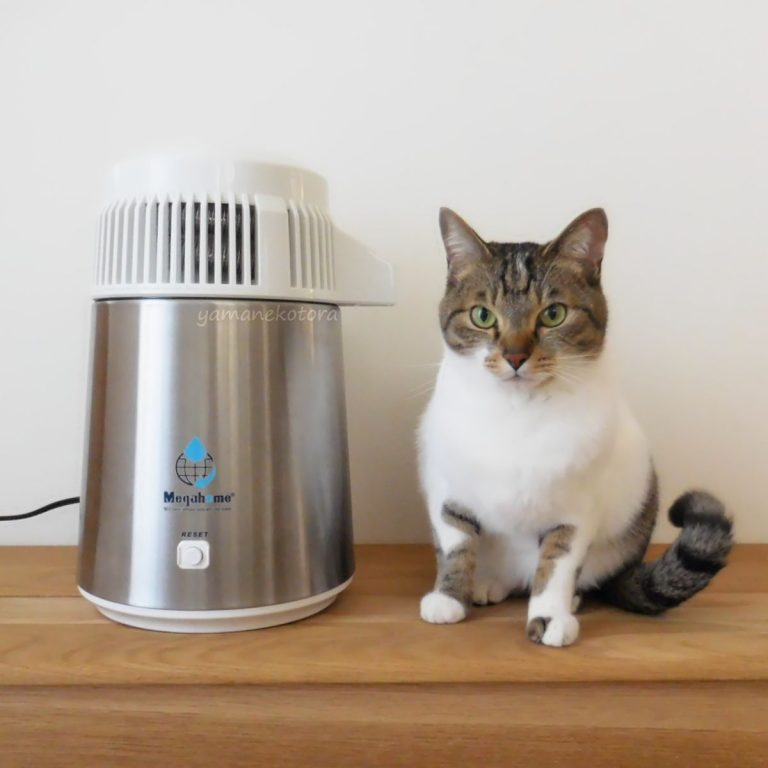 蒸留水器レポ1］メガホーム*蒸留水器、3ヶ月レポ。