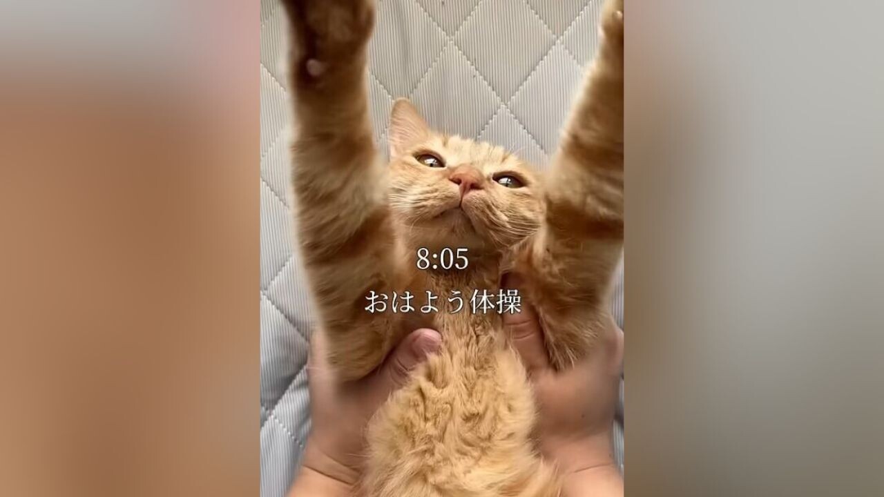 ebbbe39b4d9168737e007f0ebc86db