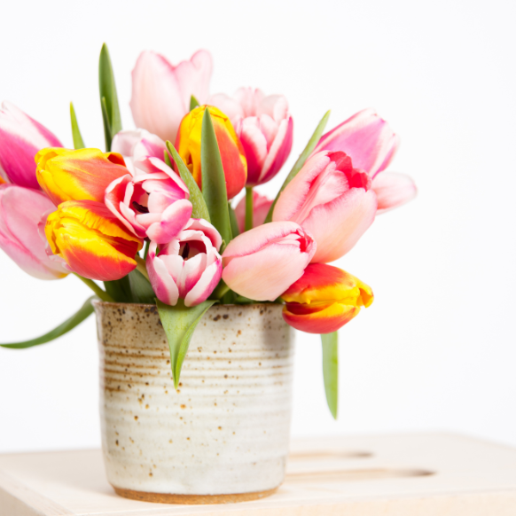 Lily Gifts | Cornsilk Surprise Lilies Box Arrangement | New Jersey