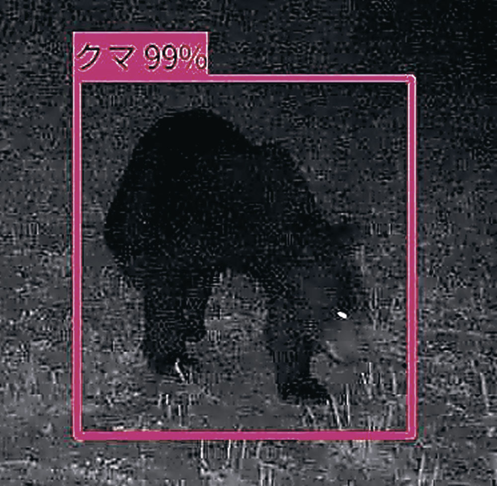 富山県内でクマ情報12件 砺波で登校中の児童目撃（北國新聞社