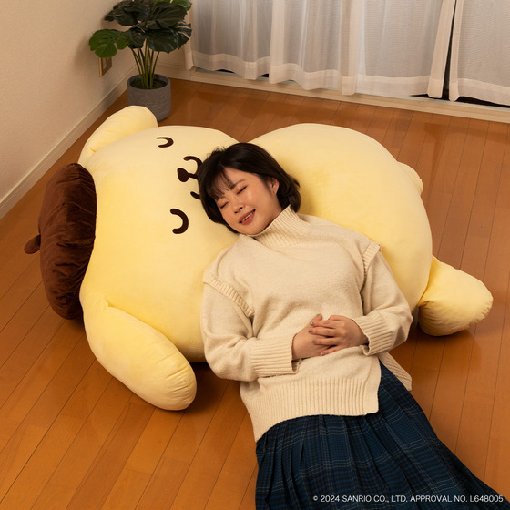 申込200個で商品化決定!?】超BIGサイズ『すべて受け入れるポムポム