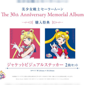 LPレコード「美少女戦士セーラームーン The 30th Anniversary Memorial