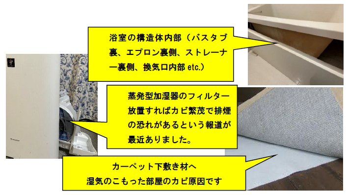 光触媒「NFE2」暗所用について | 光触媒NFE2 日本を磨く会