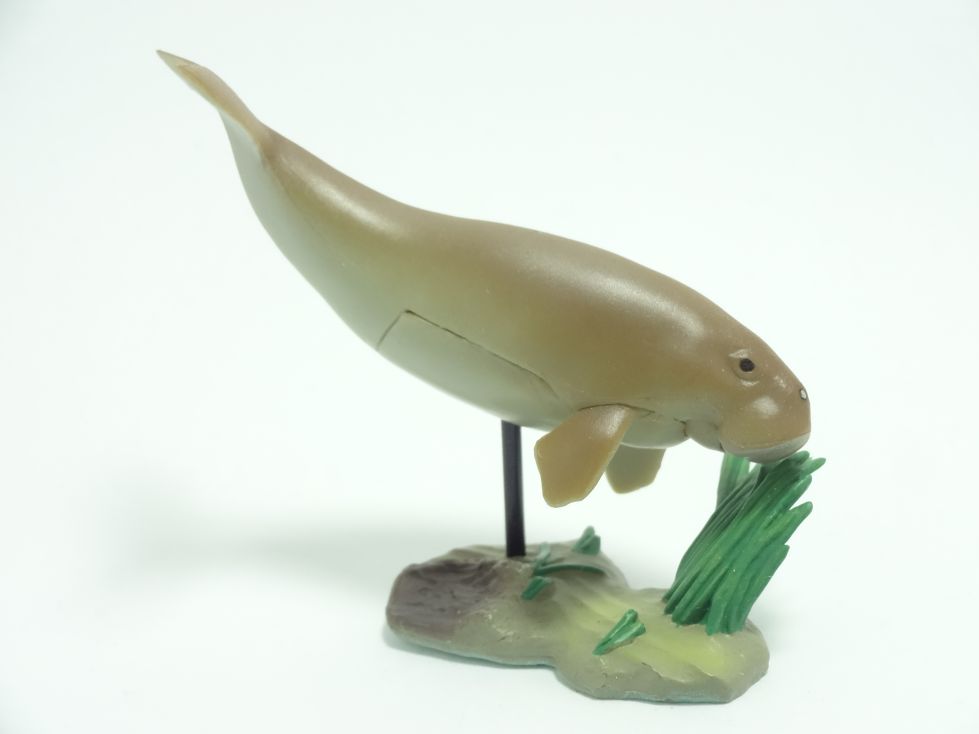 週刊日本の天然記念物