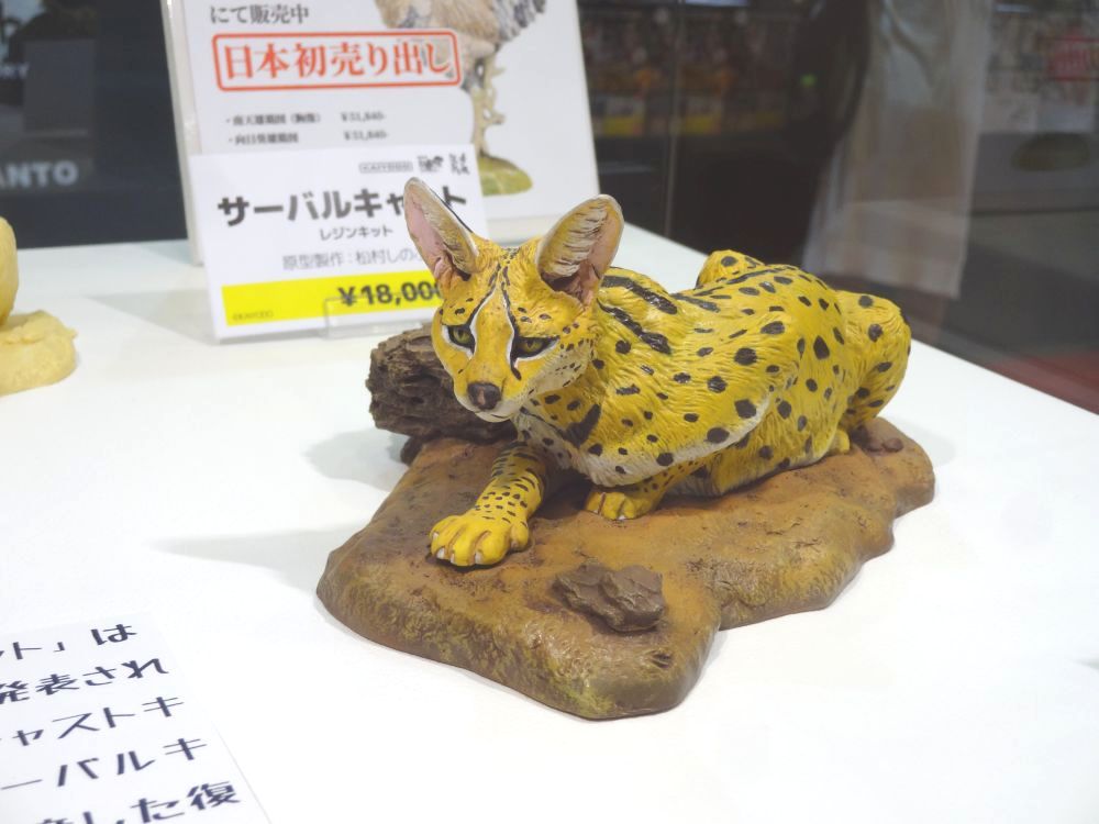 サーバルキャット