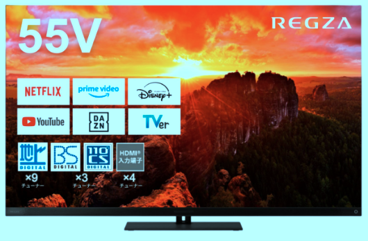 65X9900Nと65X9900Mの違いを比較！4K有機ELレグザ口コミや仕様を調査