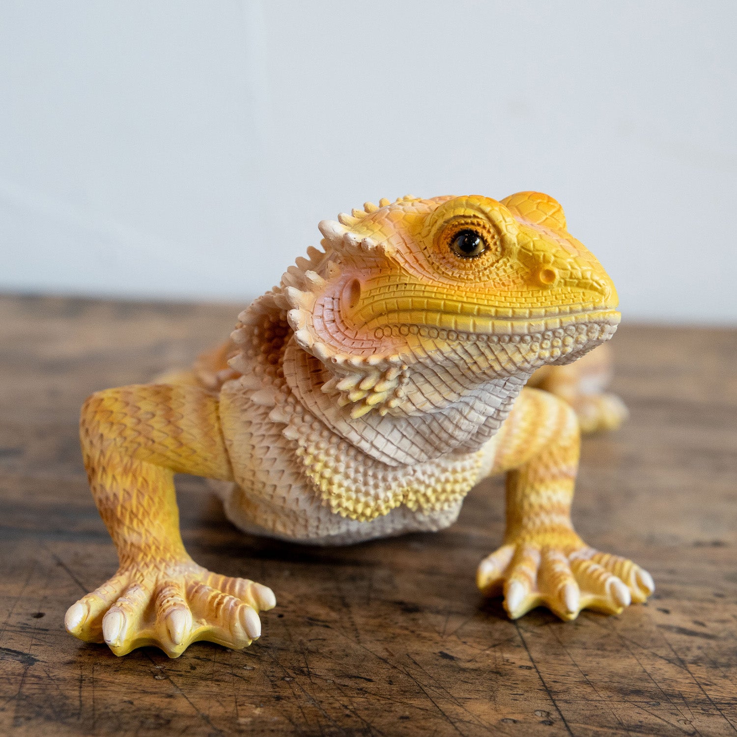 magnet / マグネット 貯金箱 フトアゴヒゲトカゲ – ニコノマニマニ雑貨