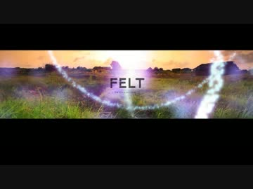 FELT 19th Album | Rebirth Story Ⅲ